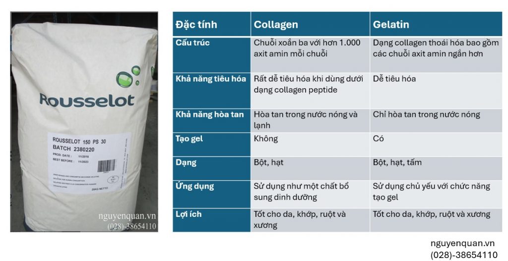 so sánh gelatin và collagen
